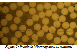 Probiotic Microcapsules